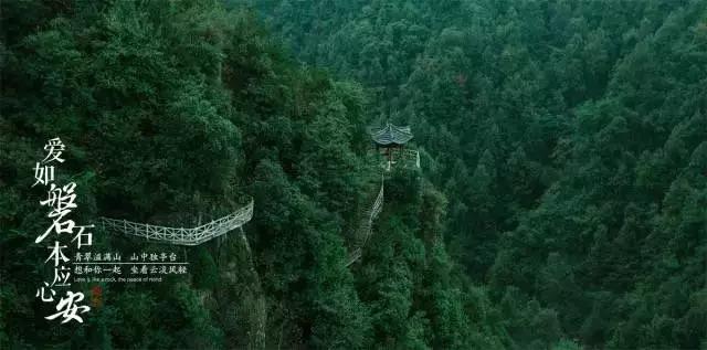 栀子落星海