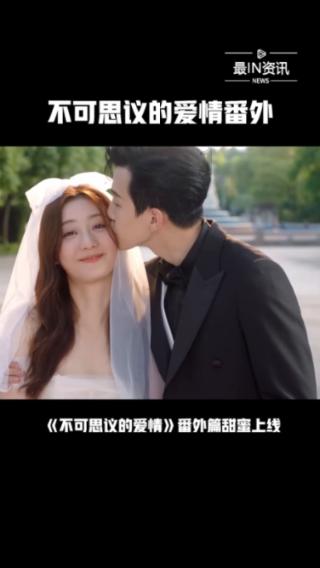 小猫钓鱼正版下载中文版