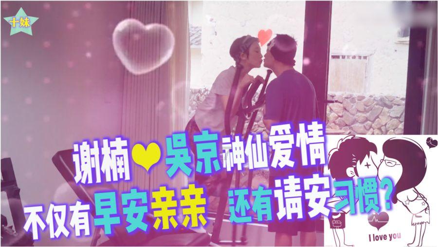 拯救可爱猫王